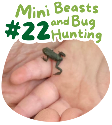 #22 Mini beasts and bug hunting